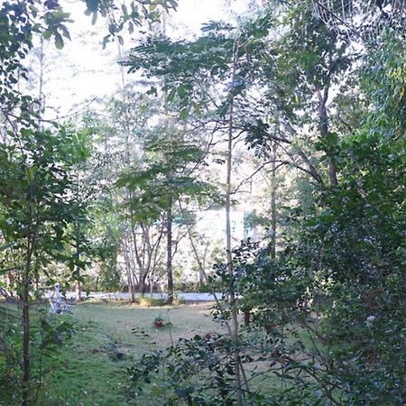 Sterling Nature Trails Dabhosa , Jawahar Birjpara Extérieur photo