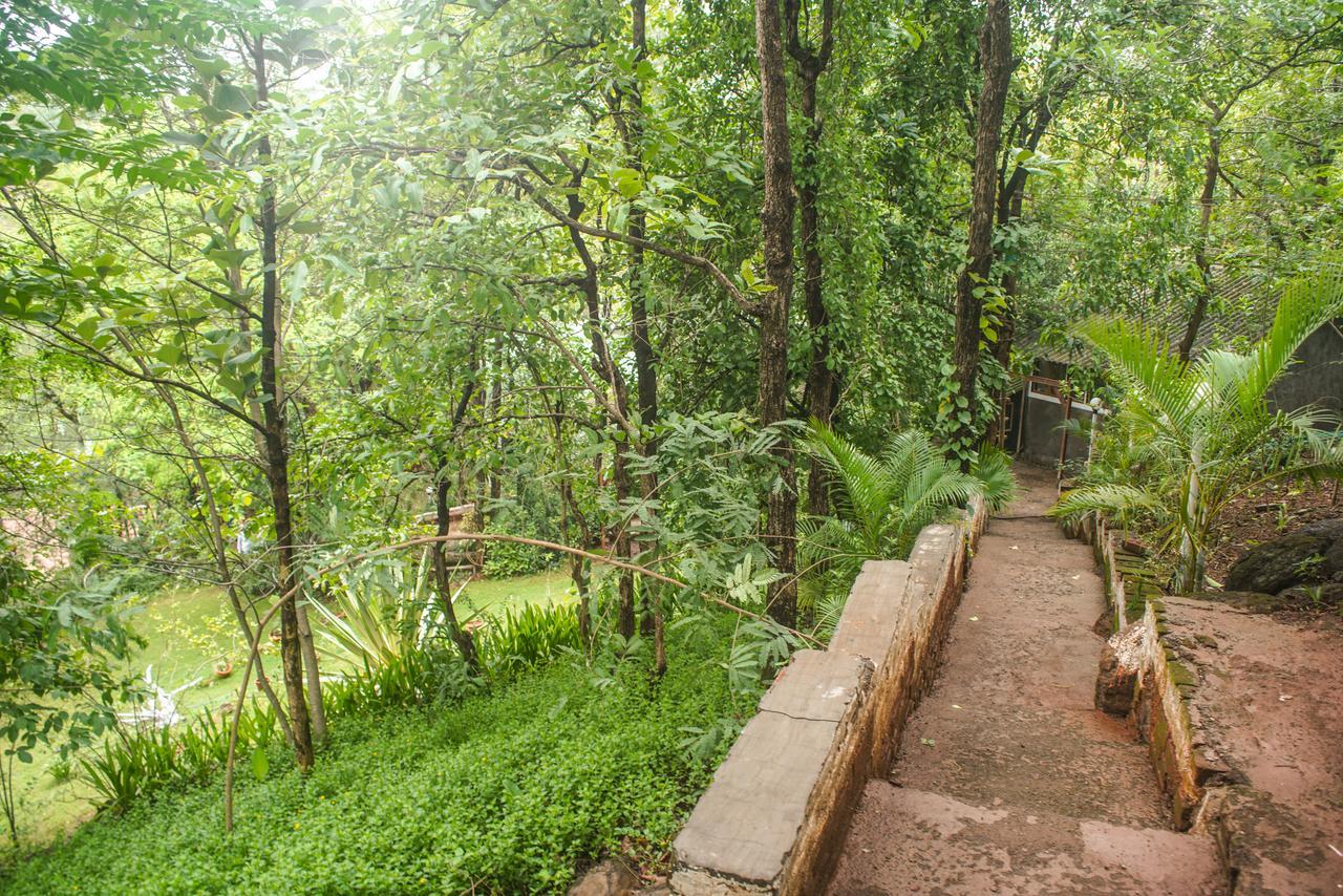 Sterling Nature Trails Dabhosa , Jawahar Birjpara Extérieur photo