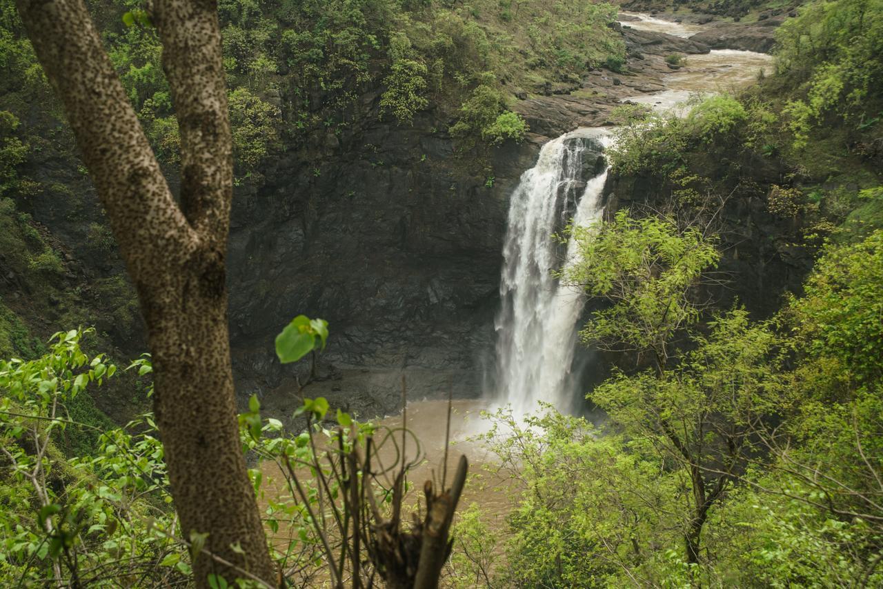 Sterling Nature Trails Dabhosa , Jawahar Birjpara Extérieur photo