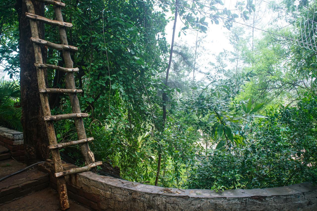Sterling Nature Trails Dabhosa , Jawahar Birjpara Extérieur photo