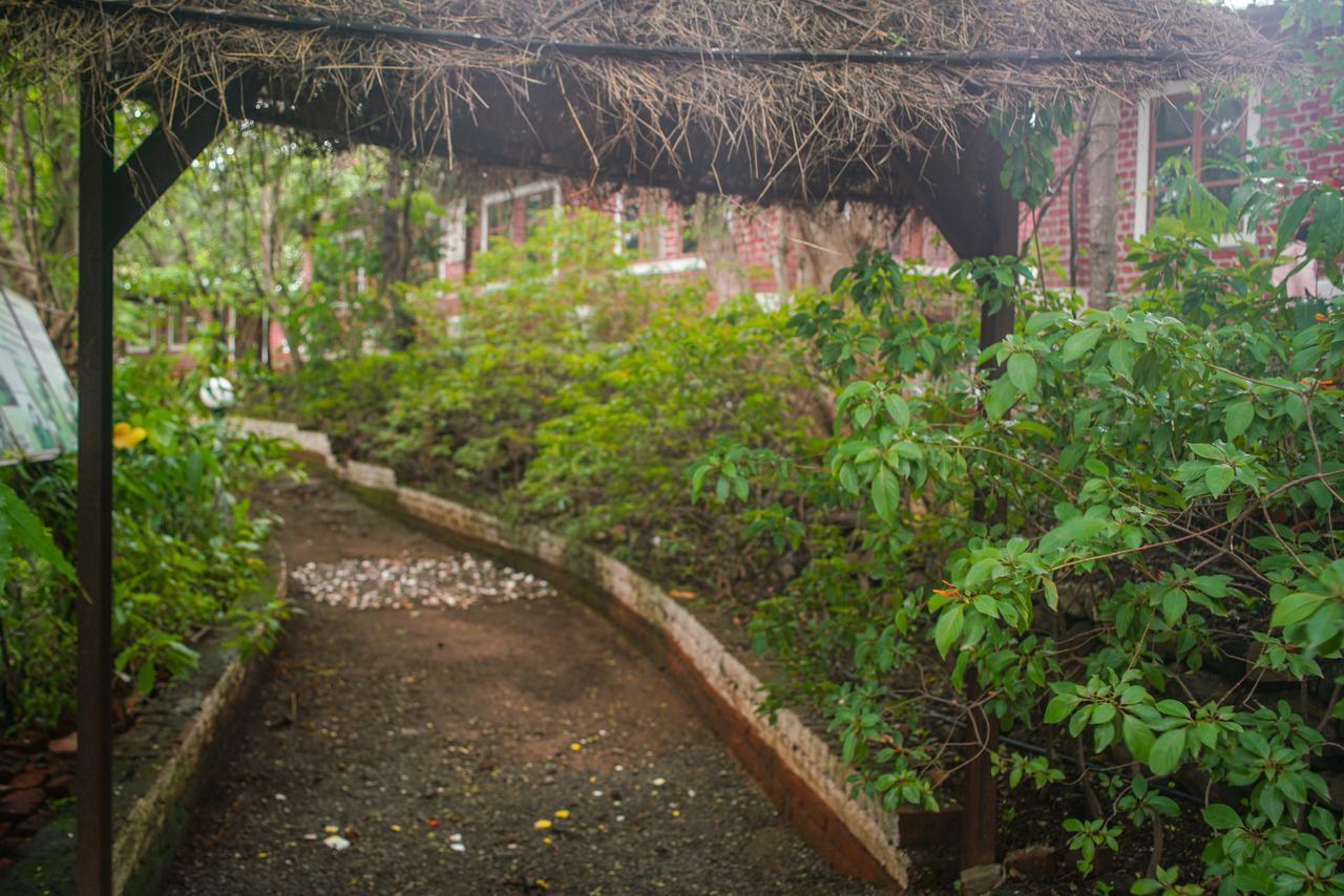 Sterling Nature Trails Dabhosa , Jawahar Birjpara Extérieur photo