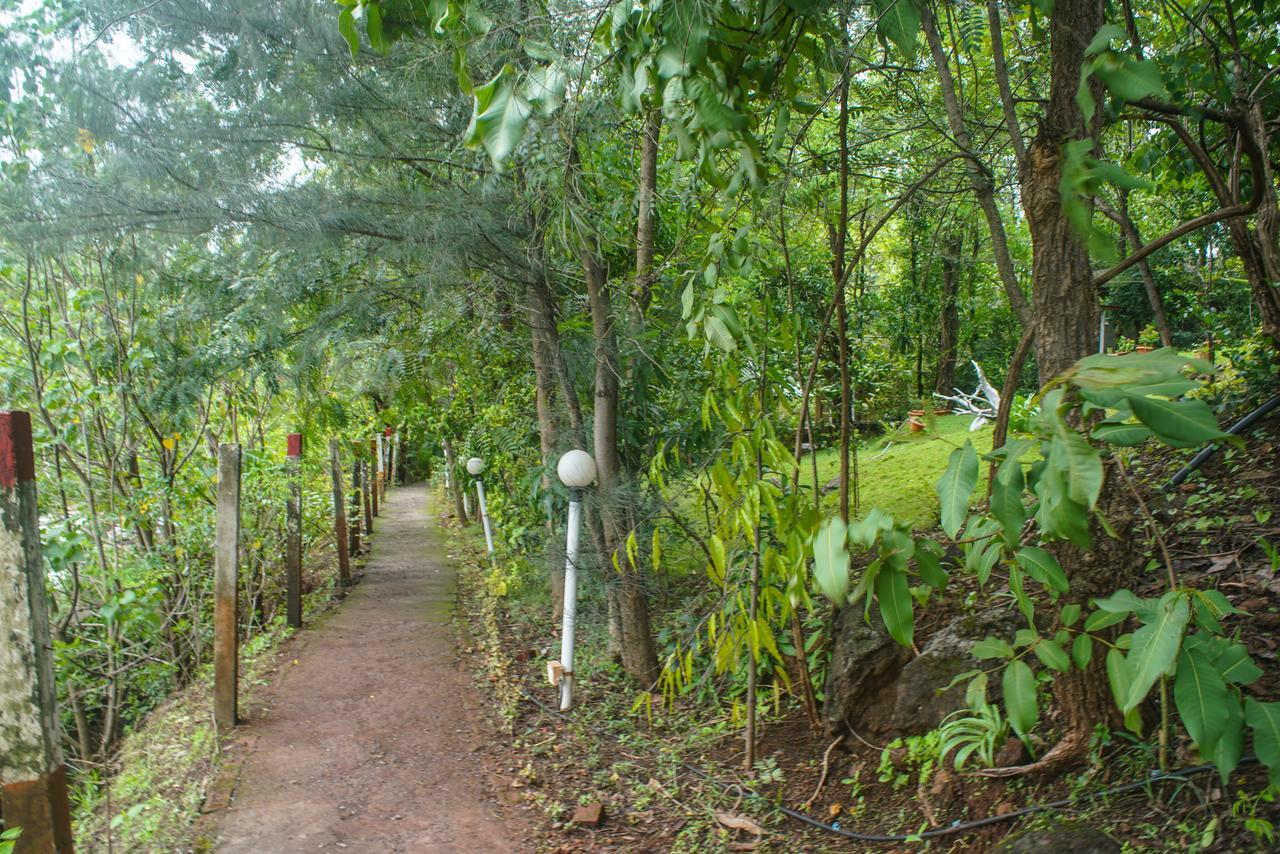 Sterling Nature Trails Dabhosa , Jawahar Birjpara Extérieur photo